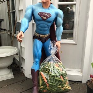 Meet your Posher, Robert